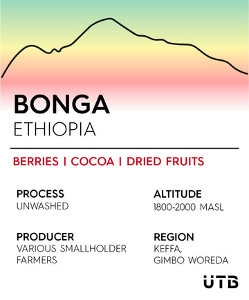 Bonga, Ethiopia